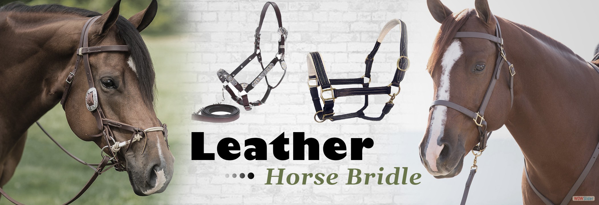 img-leather-horse-bridle